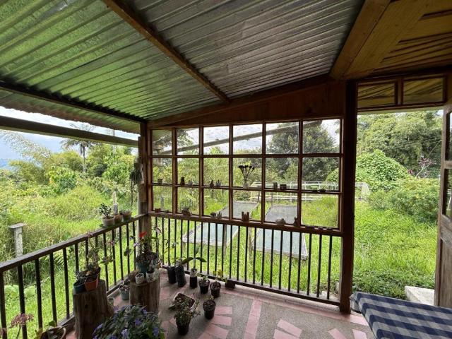 Finca En Venta En Santa Rosa De Cabal En Las Mangas, Santa Rosa V359899