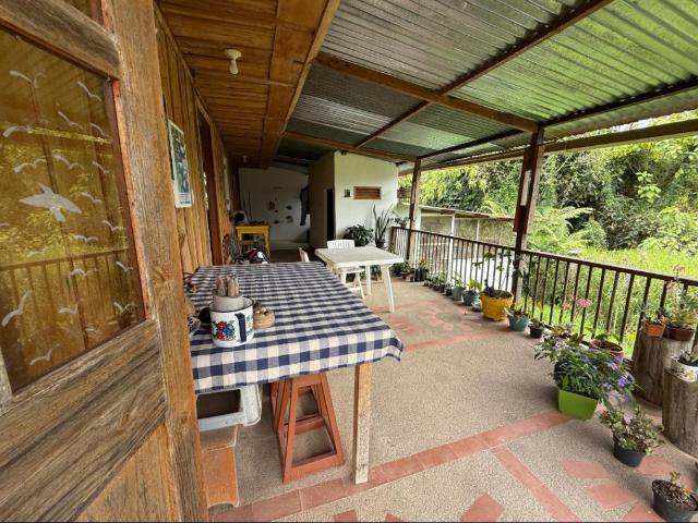 Finca En Venta En Santa Rosa De Cabal En Las Mangas, Santa Rosa V359899