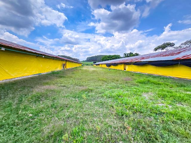 Finca en venta en Cauca