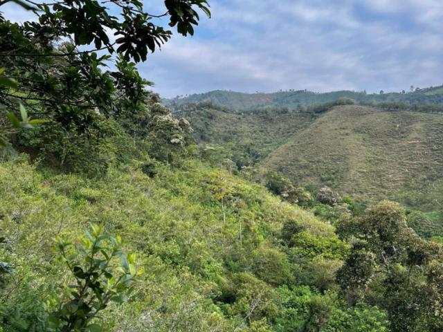 Finca en venta en Risaralda