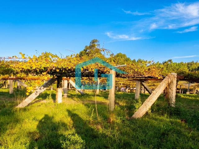 Finca en venta en Arra, Sanxenxo