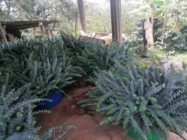 Finca En Venta En Sasaima En. V226871