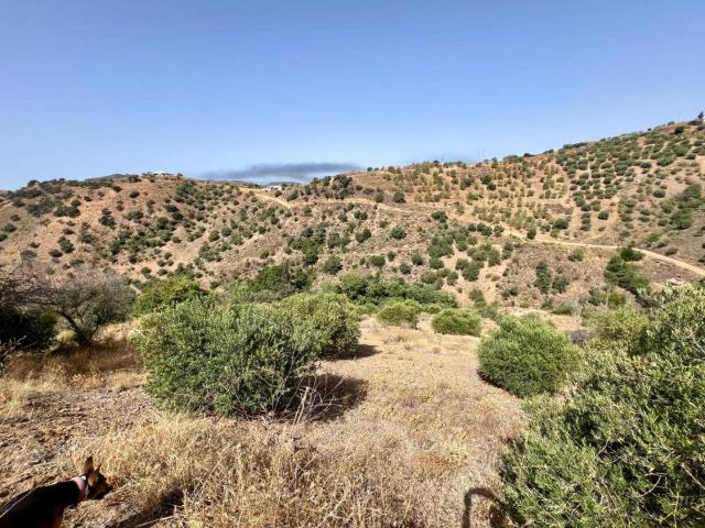 Finca en venta en La Axarquía, Andalucía
