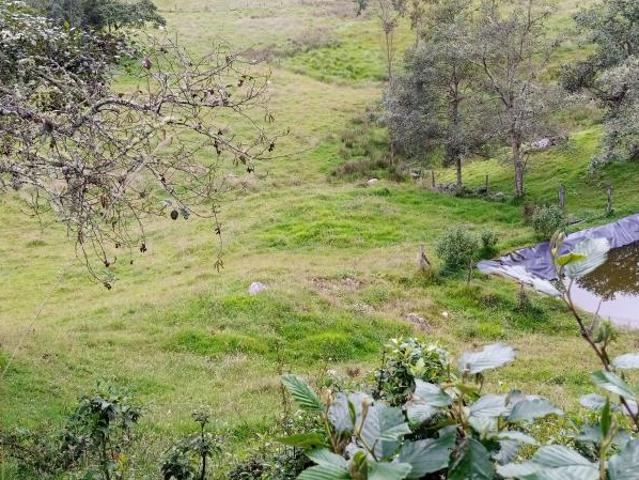 Finca En Venta En Sesquile En. V254317