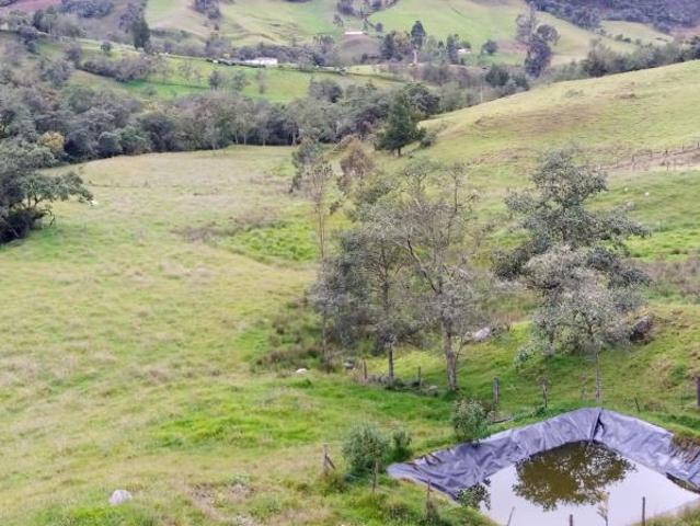 Finca En Venta En Sesquile En. V254317