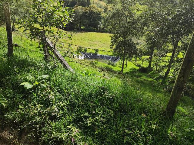 Finca En Venta En Sesquile En. V254317