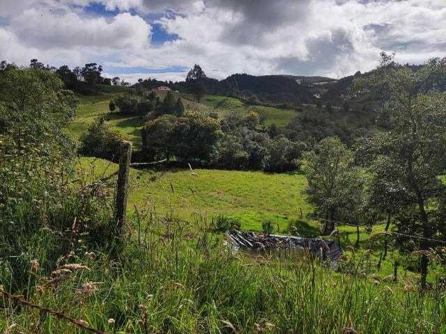 Finca En Venta En Sesquile En. V254317