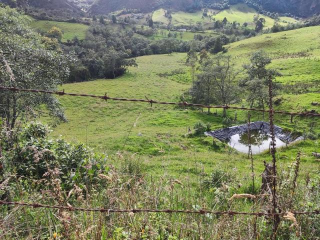 Finca En Venta En Sesquile En. V254317