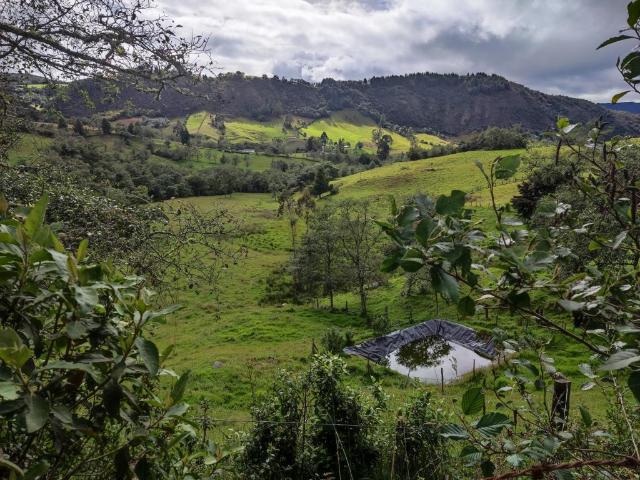 Finca En Venta En Sesquile En. V254317