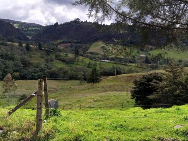 Finca En Venta En Sesquile En. V254317