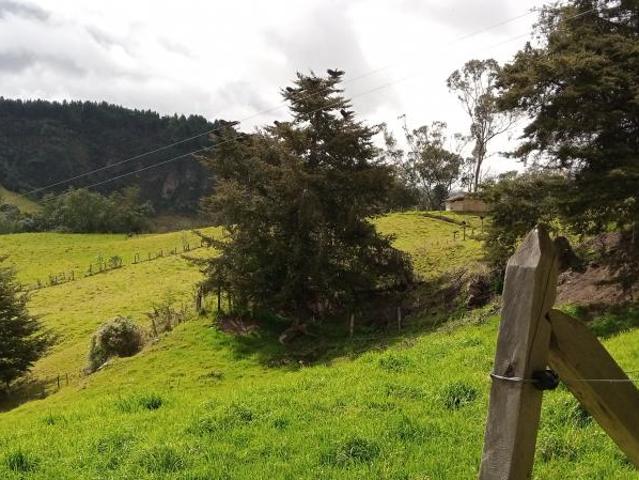Finca En Venta En Sesquile En. V254317