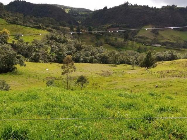Finca En Venta En Sesquile En. V254317