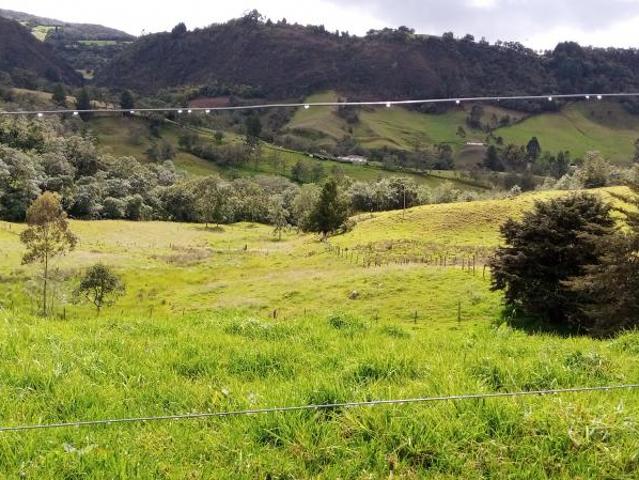 Finca En Venta En Sesquile En. V254317