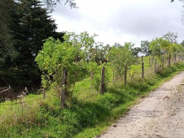 Finca en venta en Cundinamarca