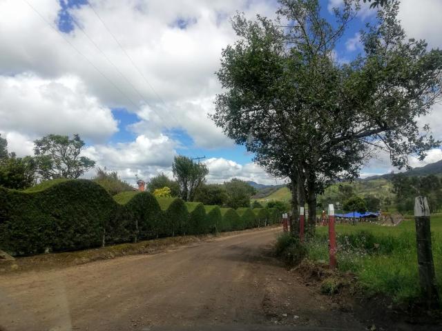 Finca En Venta En Sesquile En. V254320