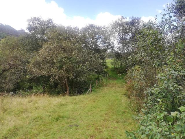 Finca En Venta En Sesquile En. V254320