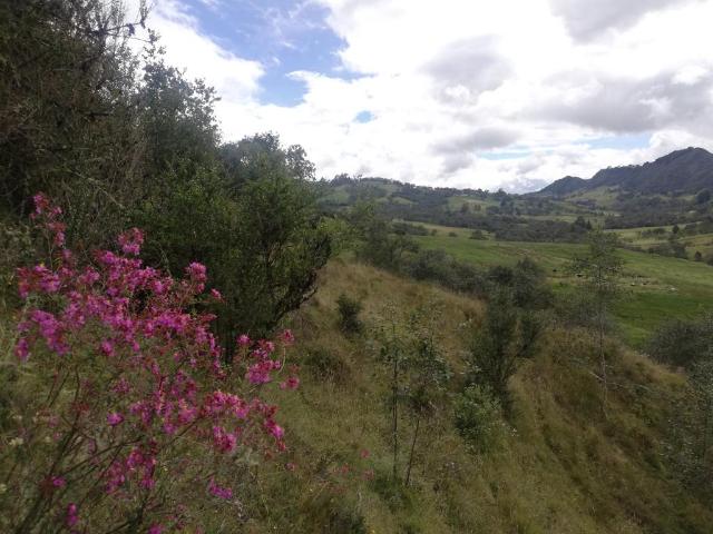 Finca En Venta En Sesquile En. V254320