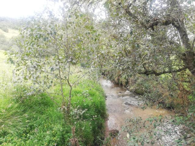 Finca En Venta En Sesquile En. V254320