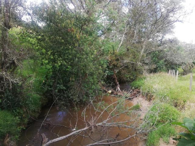 Finca En Venta En Sesquile En. V254320