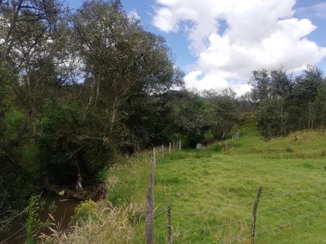 Finca En Venta En Sesquile En. V254320