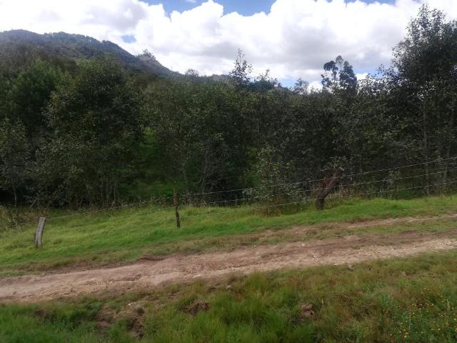 Finca En Venta En Sesquile En. V254320