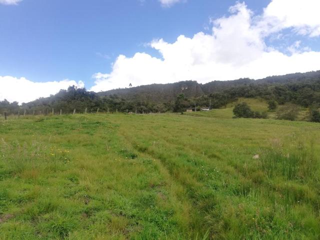 Finca En Venta En Sesquile En. V254320