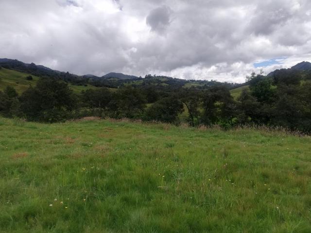 Finca En Venta En Sesquile En. V254320