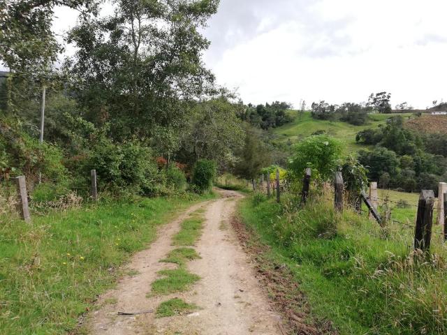 Finca En Venta En Sesquile En. V254325