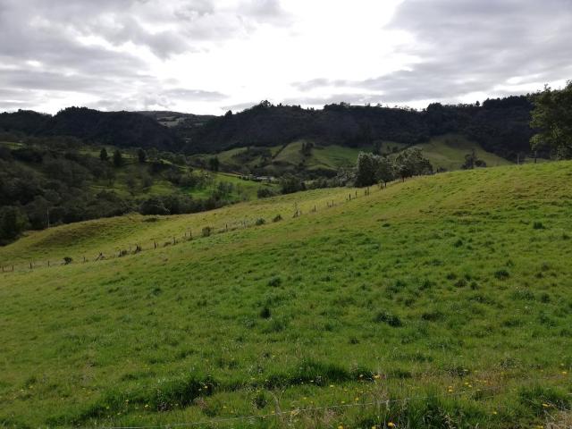 Finca En Venta En Sesquile En. V254325