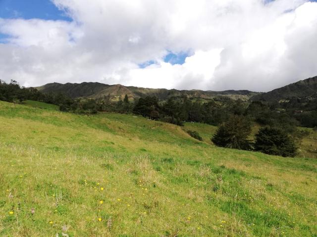 Finca En Venta En Sesquile En. V254325
