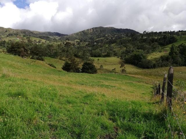 Finca En Venta En Sesquile En. V254325