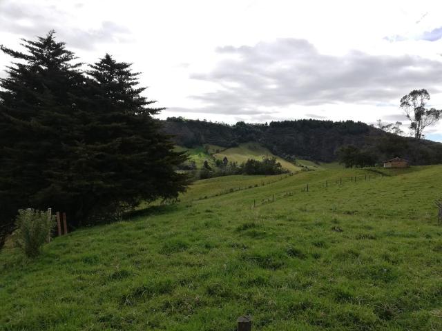 Finca En Venta En Sesquile En. V254325