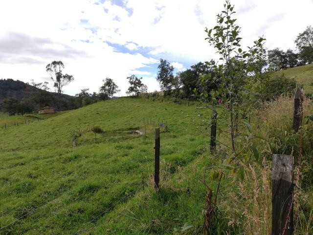 Finca En Venta En Sesquile En. V254325