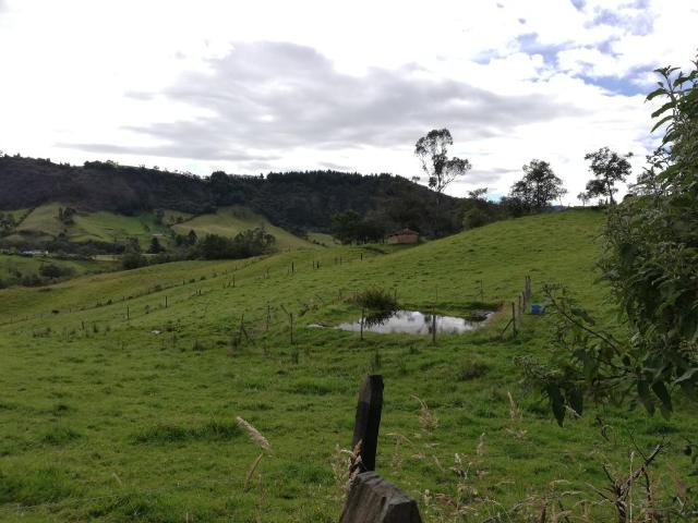 Finca En Venta En Sesquile En. V254325