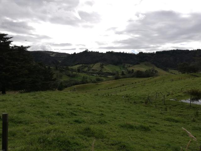 Finca En Venta En Sesquile En. V254325