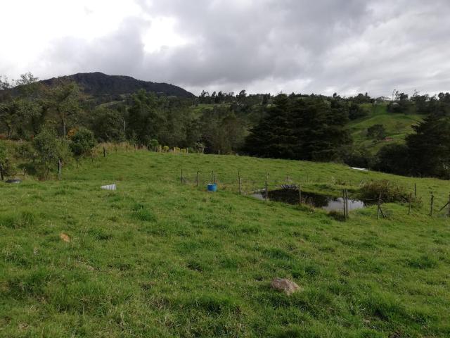 Finca En Venta En Sesquile En. V254325