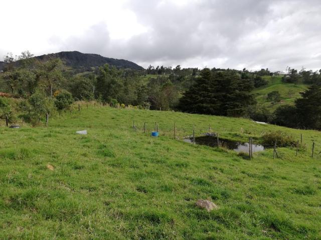 Finca En Venta En Sesquile En. V254325