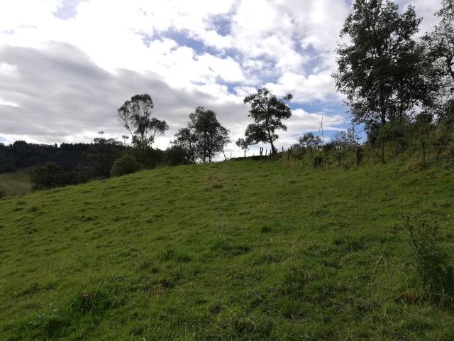 Finca En Venta En Sesquile En. V254325