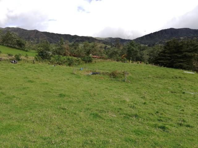 Finca En Venta En Sesquile En. V254325
