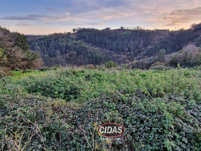 Finca en venta en Siero Finca en venta en Siero