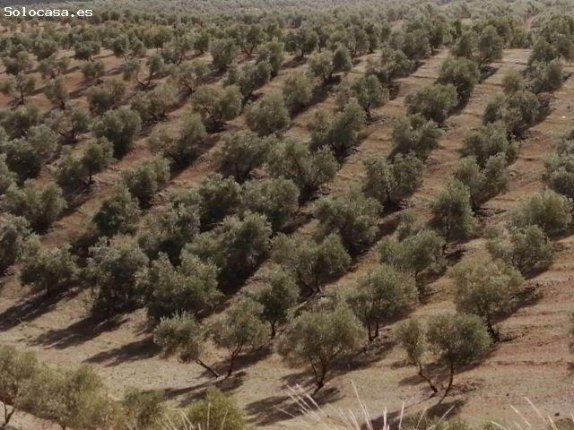 Local Comercial en venta en Sierra De Yeguas, Málaga