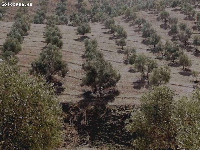 Local Comercial en venta en Guadalteba, Andalucía