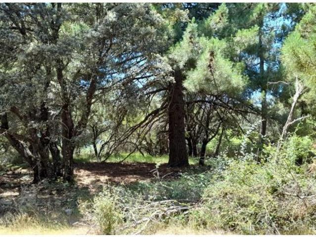 Local Comercial en venta en Siles, Andalucía