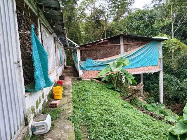 Finca En Venta En Silvania V356906