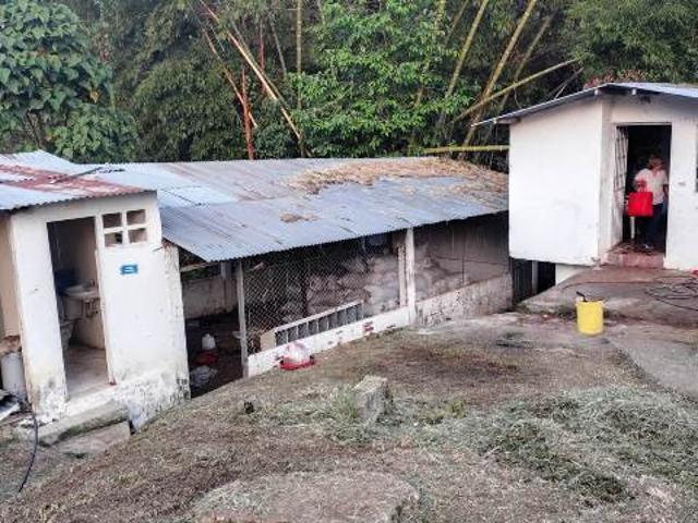 Finca En Venta En Silvania V356906