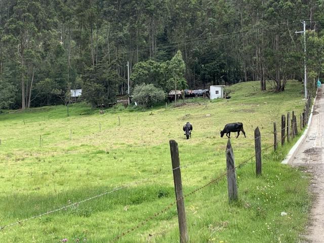 Finca en venta en Cundinamarca
