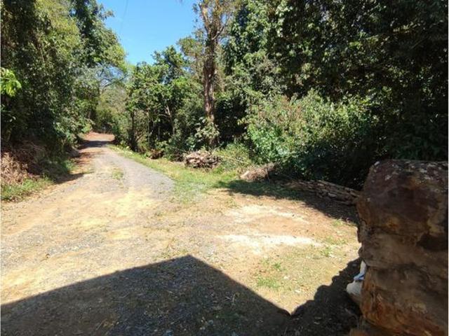 Finca En Venta En Socorro En Socorro V313483