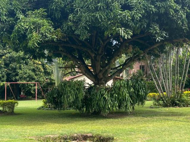 Finca En Venta En Sopetran En Olaya V307932