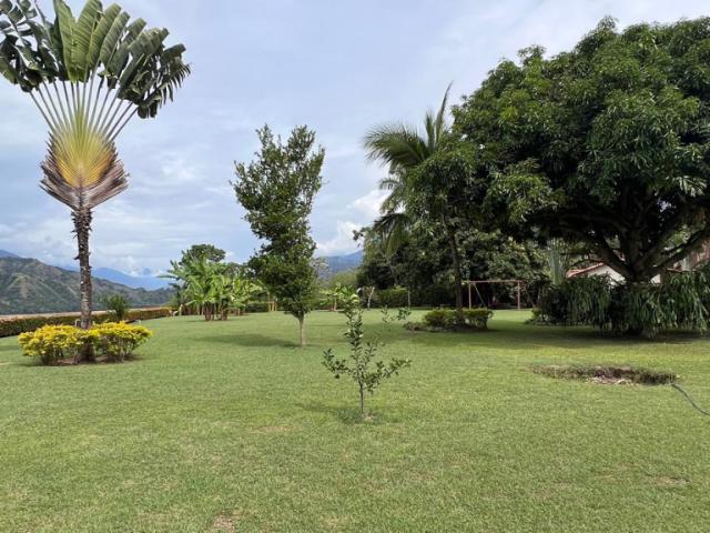 Finca En Venta En Sopetran En Olaya V307932