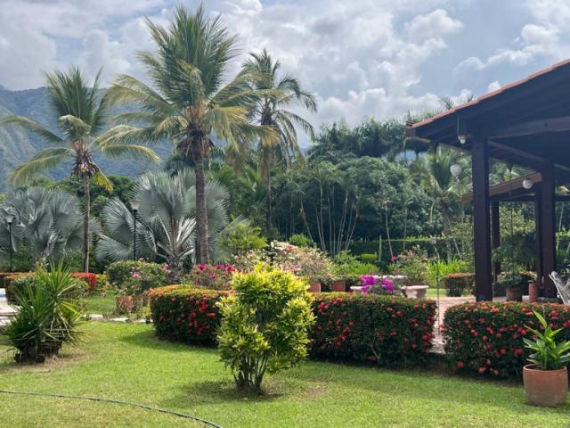 Finca En Venta En Sopetran En Olaya V307932
